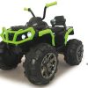 Predector Quad verde 12V