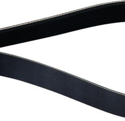 Correa trapezoidal