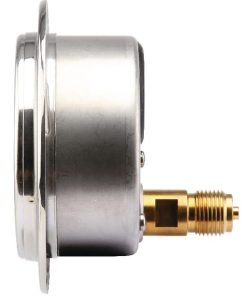Manómetro Ø 100 0-60 bar 1/2", montaje en panel