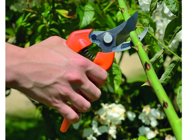 Tijeras de jardinería PG12 4 Tijeras de jardinería PG12 - Imagen 4