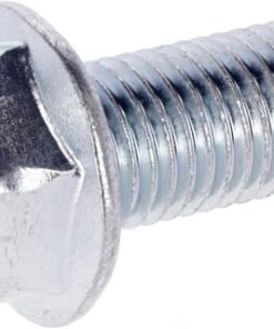 Screw