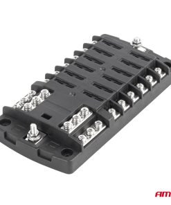 Caja de 12 Fusibles AMIO-03834 - Imagen 3