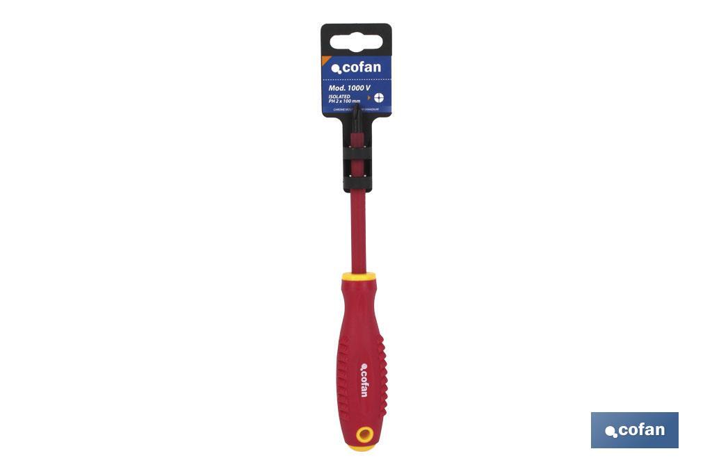 DEST. 1000V PH1 VARILLA PROT.5X80 2 DEST. 1000V PH1 VARILLA PROT.5X80 - Imagen 2