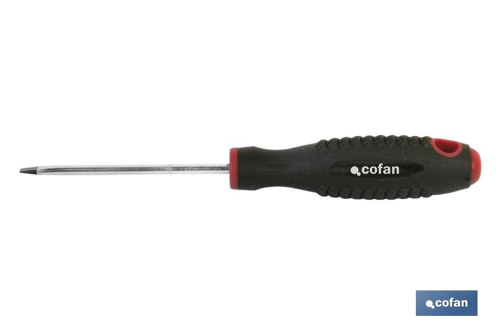 DESTORN. CR-MOLIBDENO PLANO SL-6,5X100 1 DESTORN. CR-MOLIBDENO PLANO SL-6,5X100