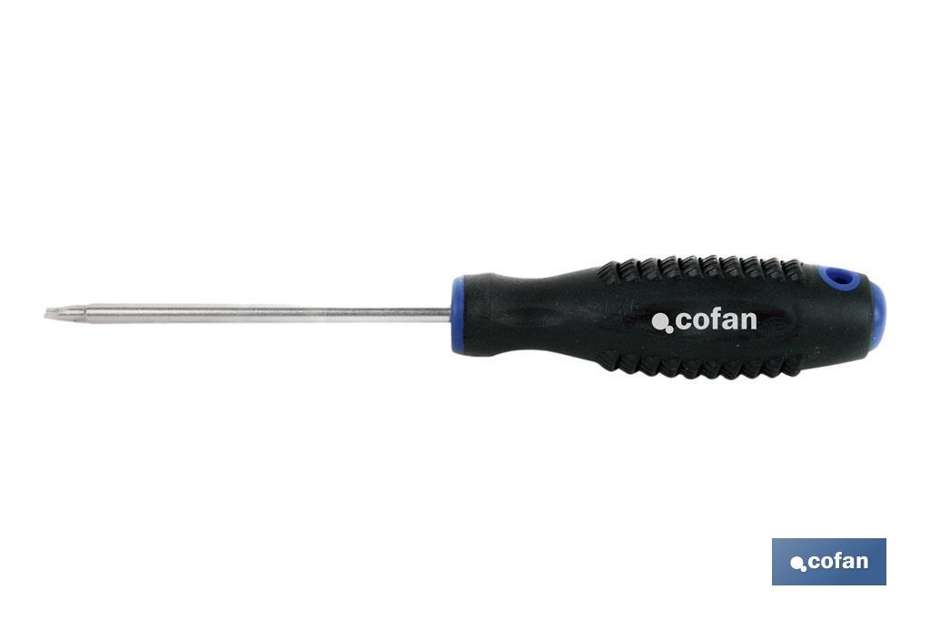 DESTORN. CR-MOLIBDENO SPANNER 8X100 1 DESTORN. CR-MOLIBDENO SPANNER 8X100