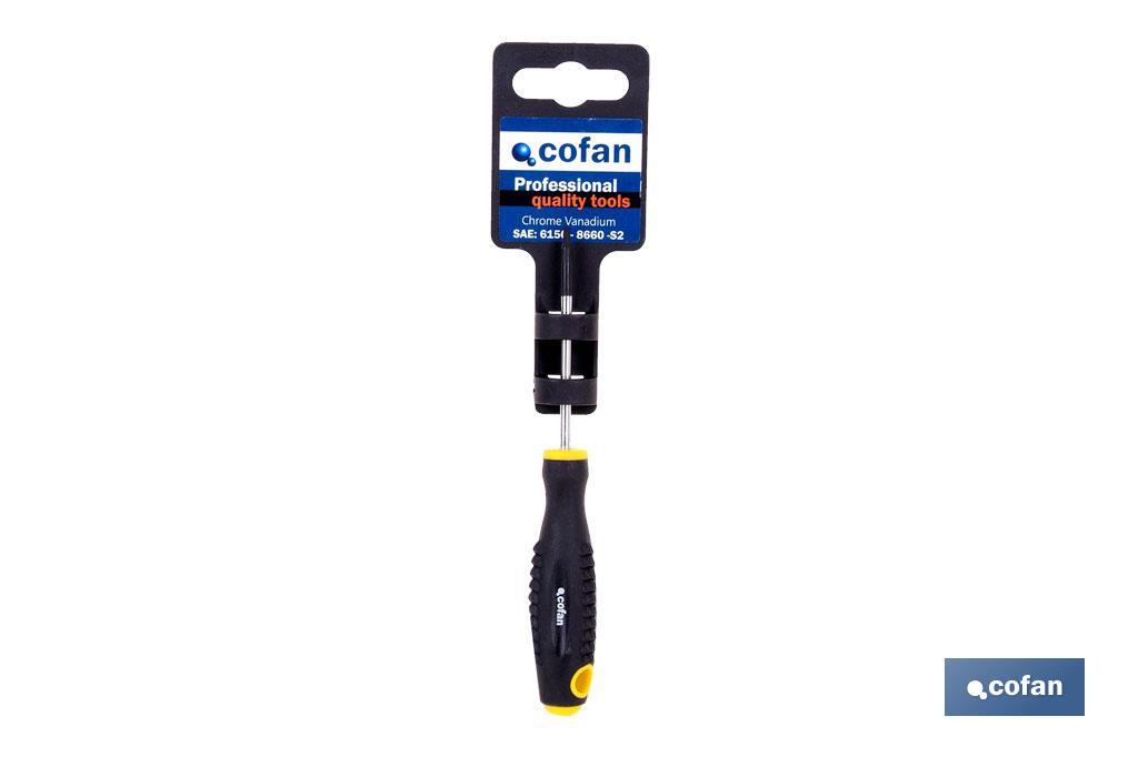 DESTORN. CR-MOLIBDENO TORX T-40X150 2 DESTORN. CR-MOLIBDENO TORX T-40X150 - Imagen 2