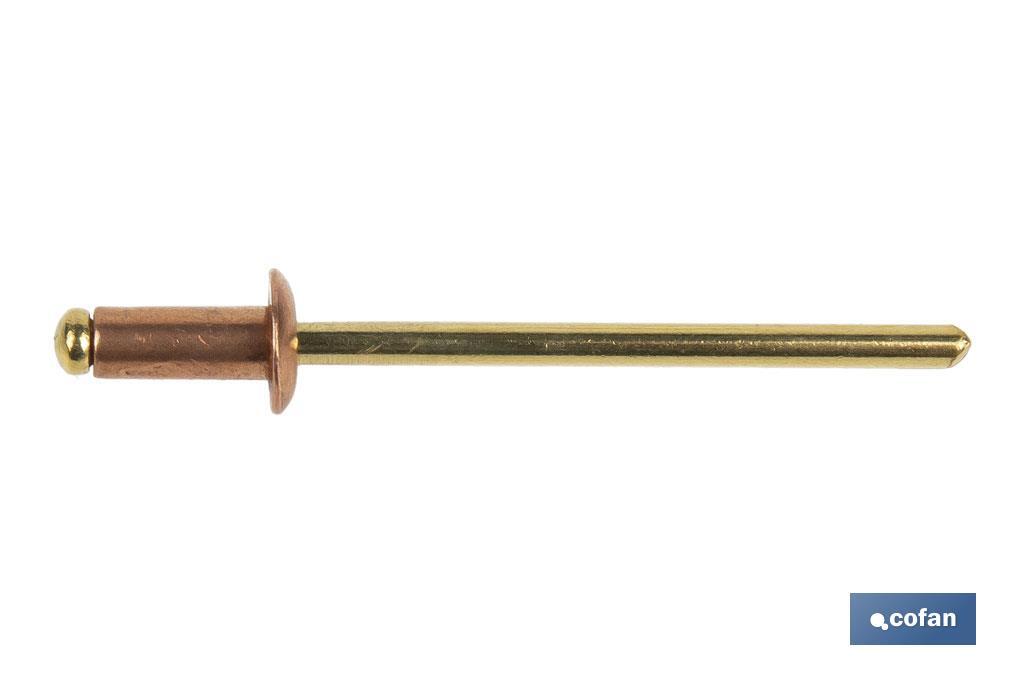 REMACHE COBRE-BRONCE 4 X 10 MM 2 REMACHE COBRE-BRONCE 4 X 10 MM - Imagen 2