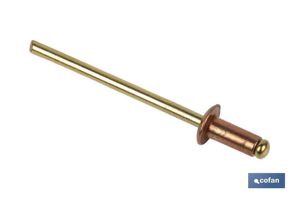 REMACHE COBRE-BRONCE 4 X 10 MM 4 REMACHE COBRE-BRONCE 4 X 10 MM - Imagen 4
