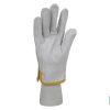 GUANTE CONDUCTOR DE PIEL TALLA 10 BLÍSTER venta unitaria 8 GUANTE CONDUCTOR DE PIEL TALLA 10 BLÍSTER venta unitaria