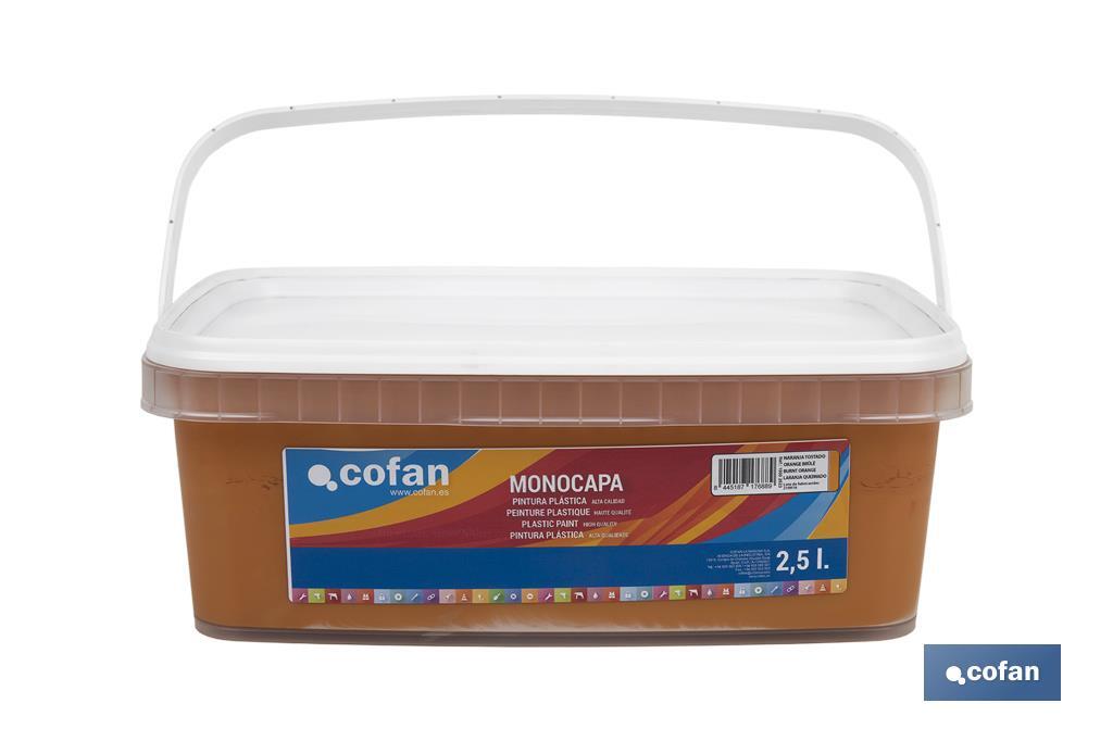 PINTURA PLÁSTICA MONOCAPA Naranja Tostado (2,5 LT) 3 PINTURA PLÁSTICA MONOCAPA Naranja Tostado (2,5 LT) - Imagen 3