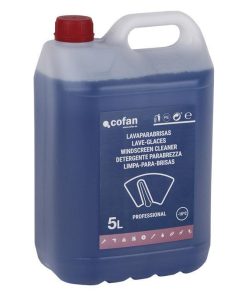 LAVAPARABRISAS ANTICONGELANTE -10º 5 L