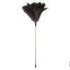 PLUMERO PLUMA AVESTRUZ MADERA CLASE A