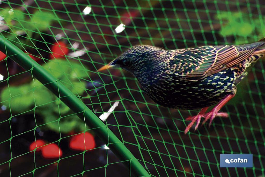 MALLA ANTIPAJAROS 4x12m 7g/m2 2 MALLA ANTIPAJAROS 4x12m 7g/m2 - Imagen 2