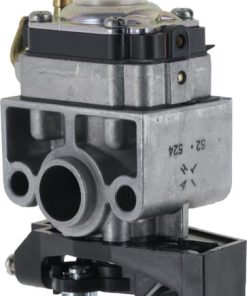 Conjunto de carburador (WYB 52)