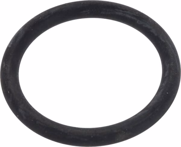Anillo obturador