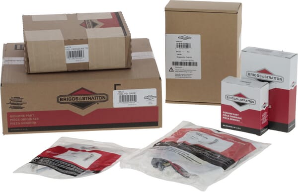 Kit de diagnóstico para motores EFI, Briggs & Stratton - Imagen 3