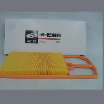 Filtro de aire STEP FILTERS AE113