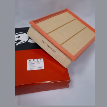 Filtro de aire STEP FILTERS AE21