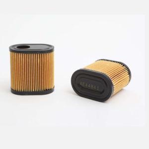 Filtro de aire STEP FILTERS AE44841