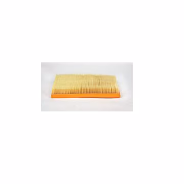 Filtro de aire FLEETGUARD AF4608