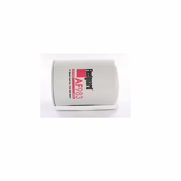 Filtro de aire FLEETGUARD AF983