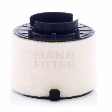Filtro de aire MANN-FILTER C17009