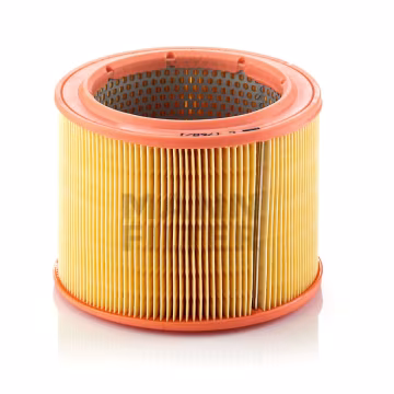 Filtro de aire MANN-FILTER C1760/1