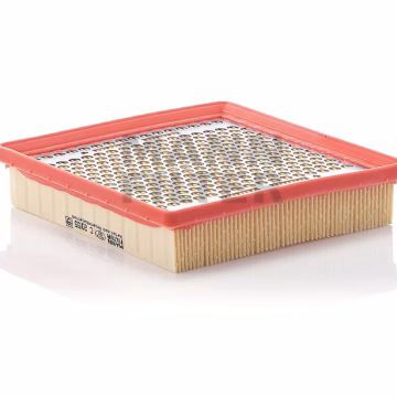 Filtro de aire MANN-FILTER C2055