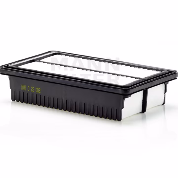 Filtro de aire MANN-FILTER C25002