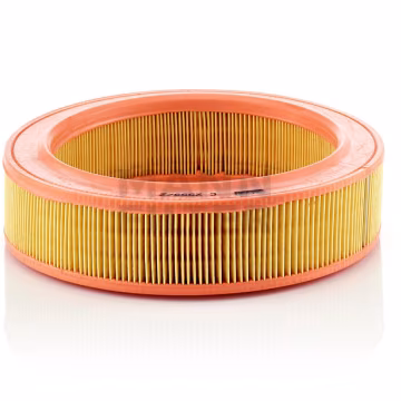Filtro de aire MANN-FILTER C2555/2