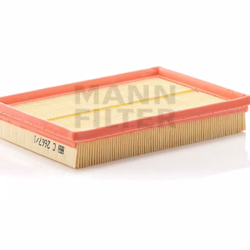 Filtro de aire MANN-FILTER C2667/1