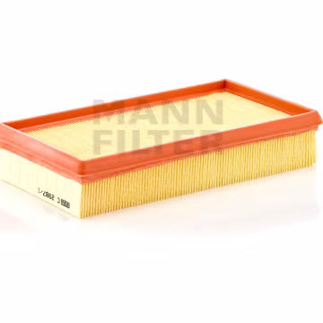 Filtro de aire MANN-FILTER C2987/1