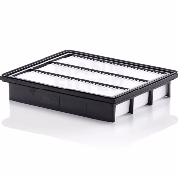Filtro de aire MANN-FILTER C30024