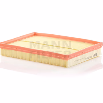 Filtro de aire MANN-FILTER C30125/4