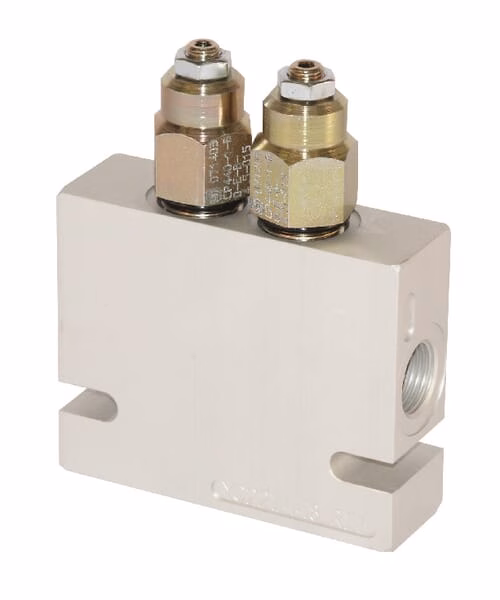 Contrapeso 2X CB10HV1A1E1 A06