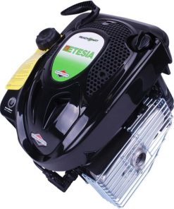 Alternative view of Motor, vertical de 6,5 HP, dos cilindros, Etesia