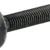 et42609-jpg.avif