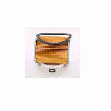 Filtro de combustible FLEETGUARD FF5070